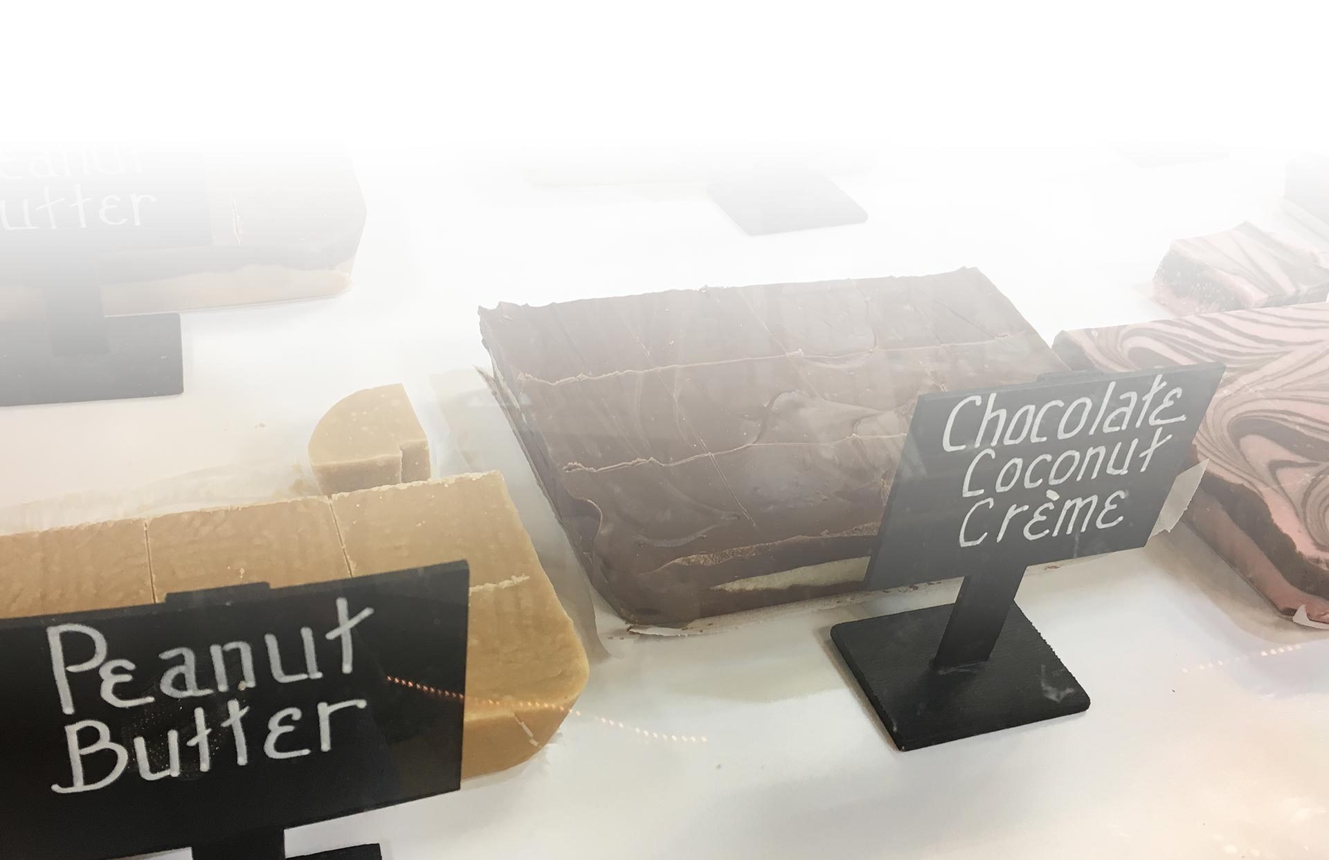 NEW WEBSITE THE TIN BIN visual data 3